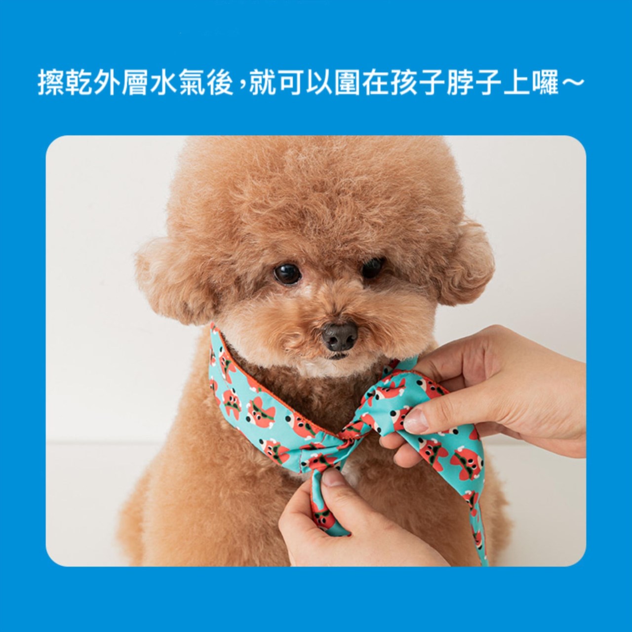 all day cooling scarf 極酷涼感領巾