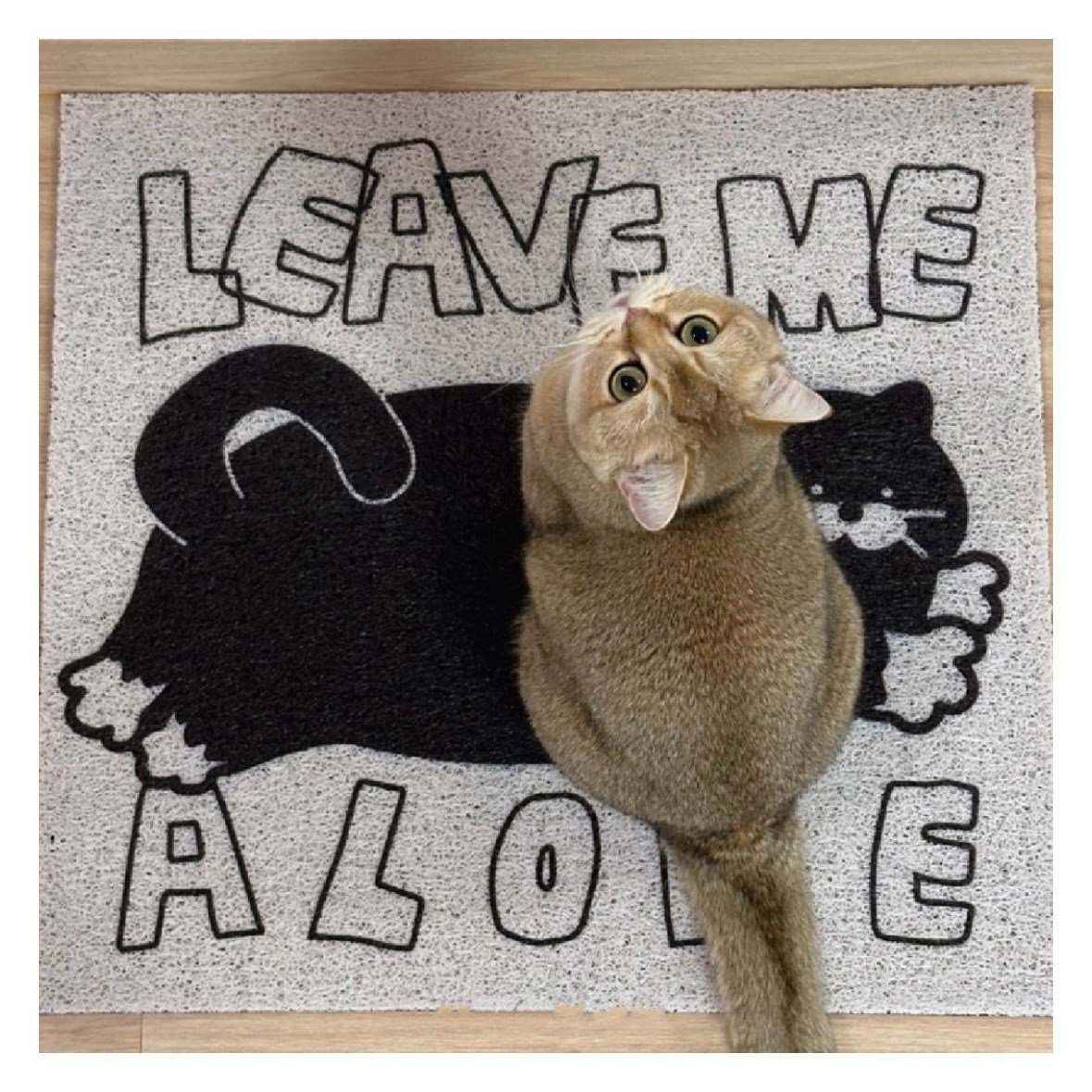 LEAVE ME ALONE 貓咪防沙塵防沙墊