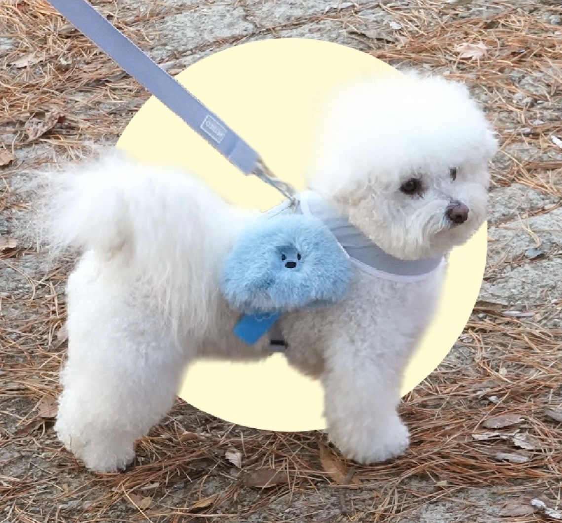Fluffy Cloud Pop Bag 毛絨絨小雲朵便便袋