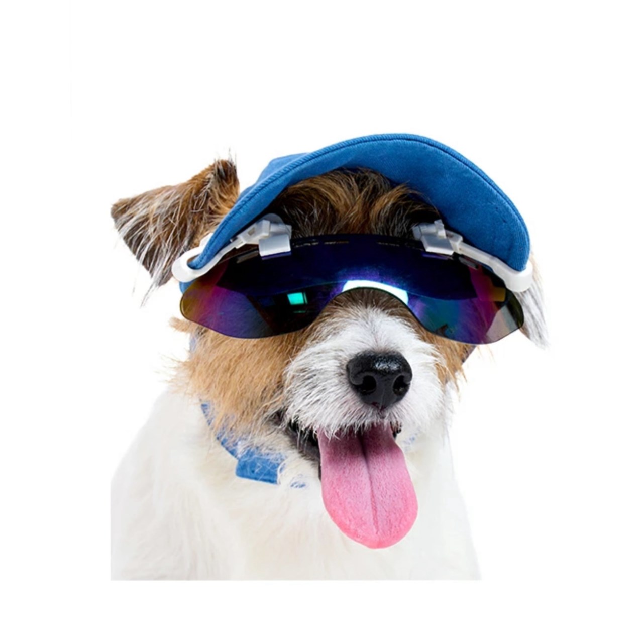 Cap clip sunglasses | 帽子用夾式太陽眼鏡