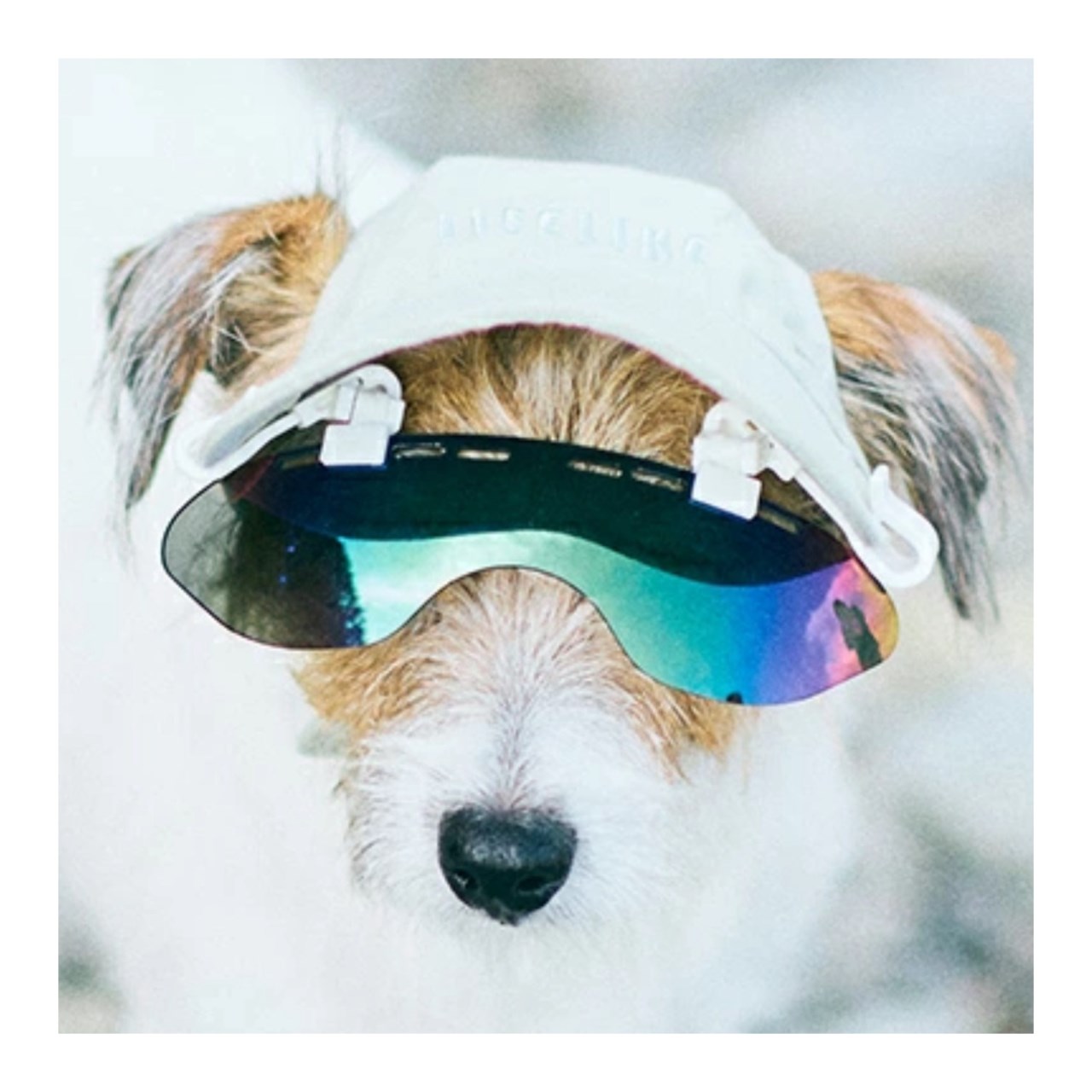 Cap clip sunglasses | 帽子用夾式太陽眼鏡