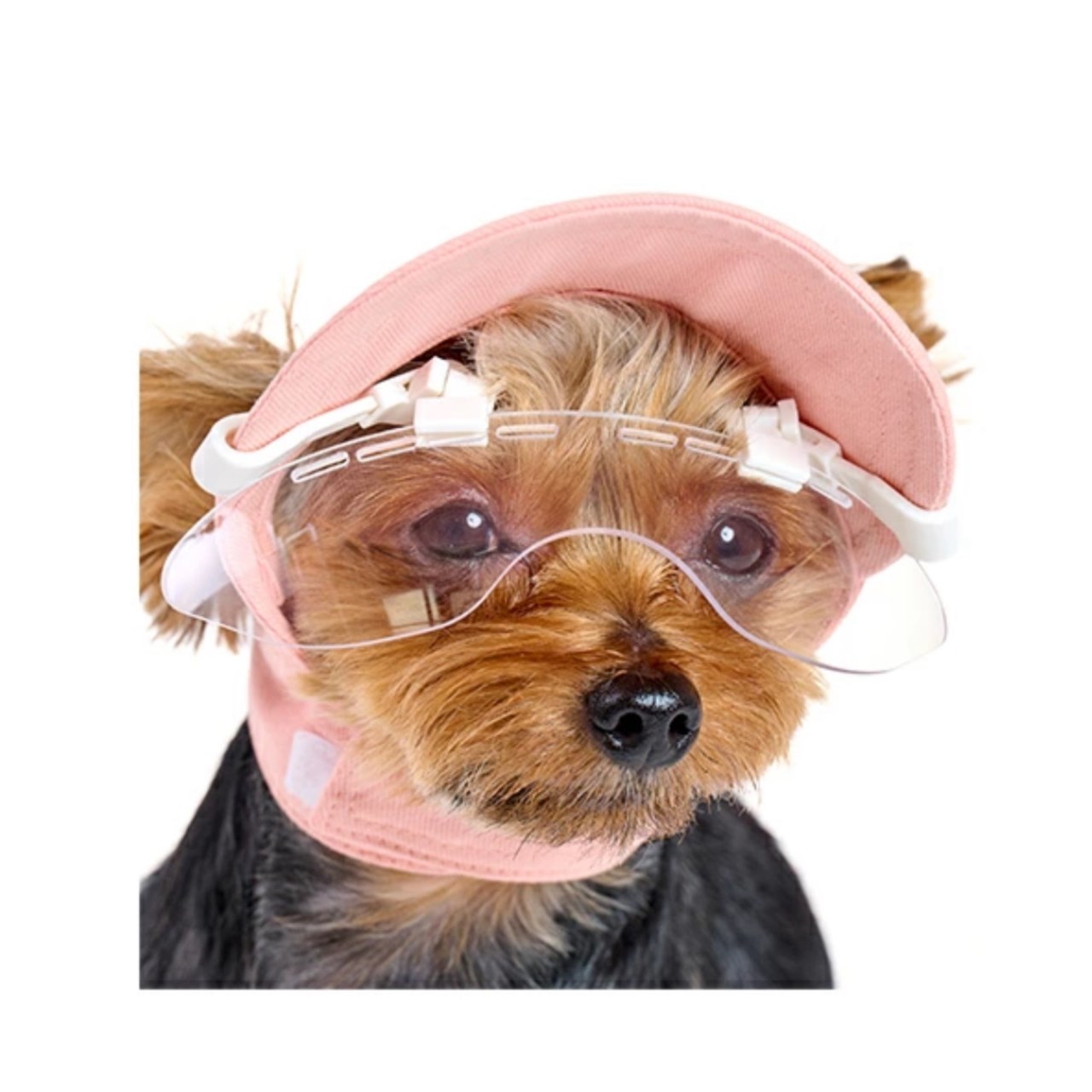 Cap clip sunglasses | 帽子用夾式太陽眼鏡