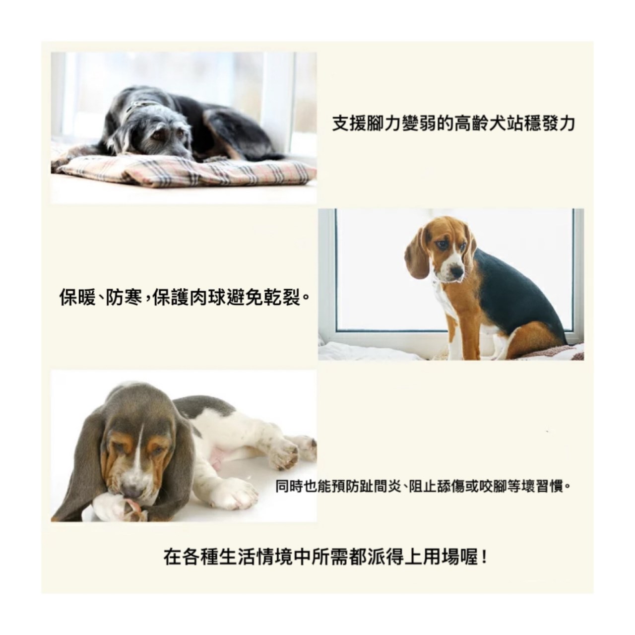 Dog Socks ｜狗狗防滑襪子(一組兩隻）