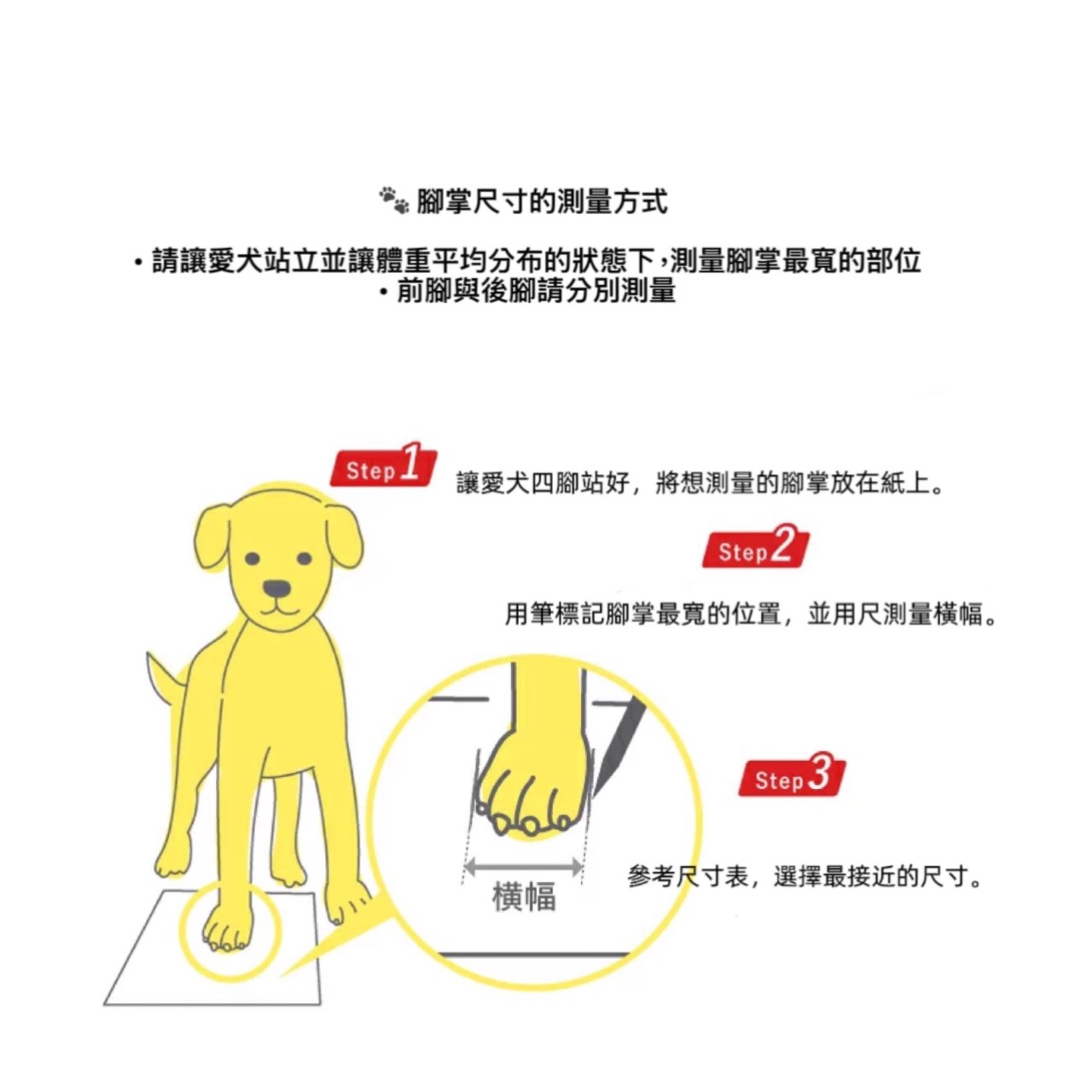 Dog Socks ｜狗狗防滑襪子(一組兩隻）