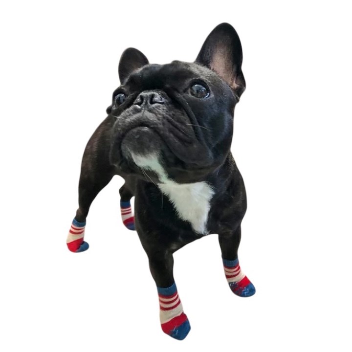 Dog Socks ｜狗狗防滑襪子(一組兩隻）