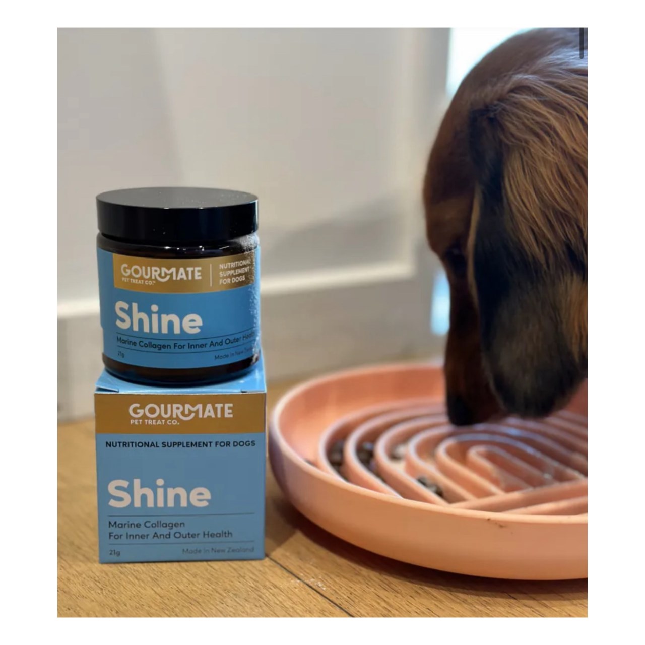 Gourmate｜海洋閃毛粉 (犬貓可食) 21g    |     毛髮皮膚．膠原蛋白強化照護