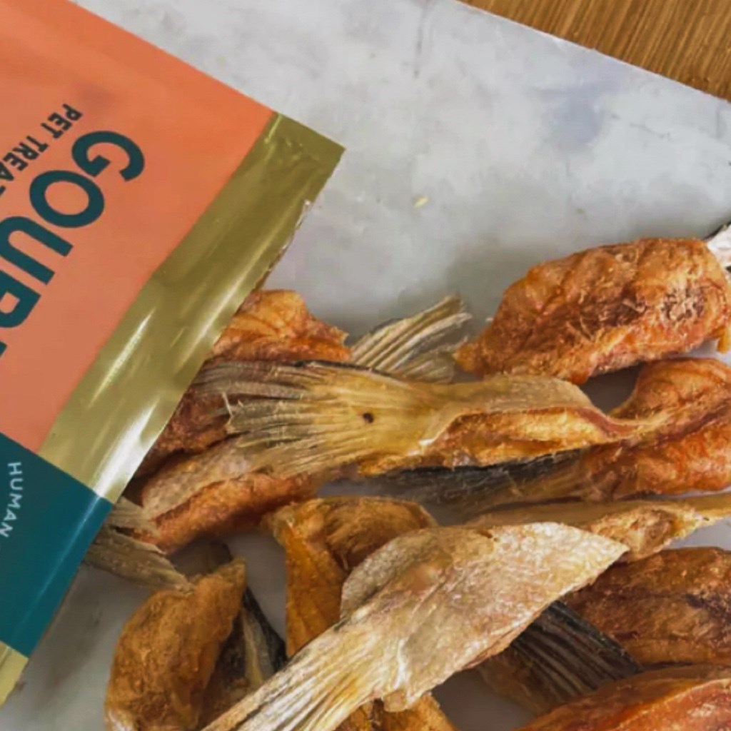 Gourmate｜帝王鮭魚鰭邊凍乾 (犬貓可食) 100g |  膠原補給．腦心關節全支援