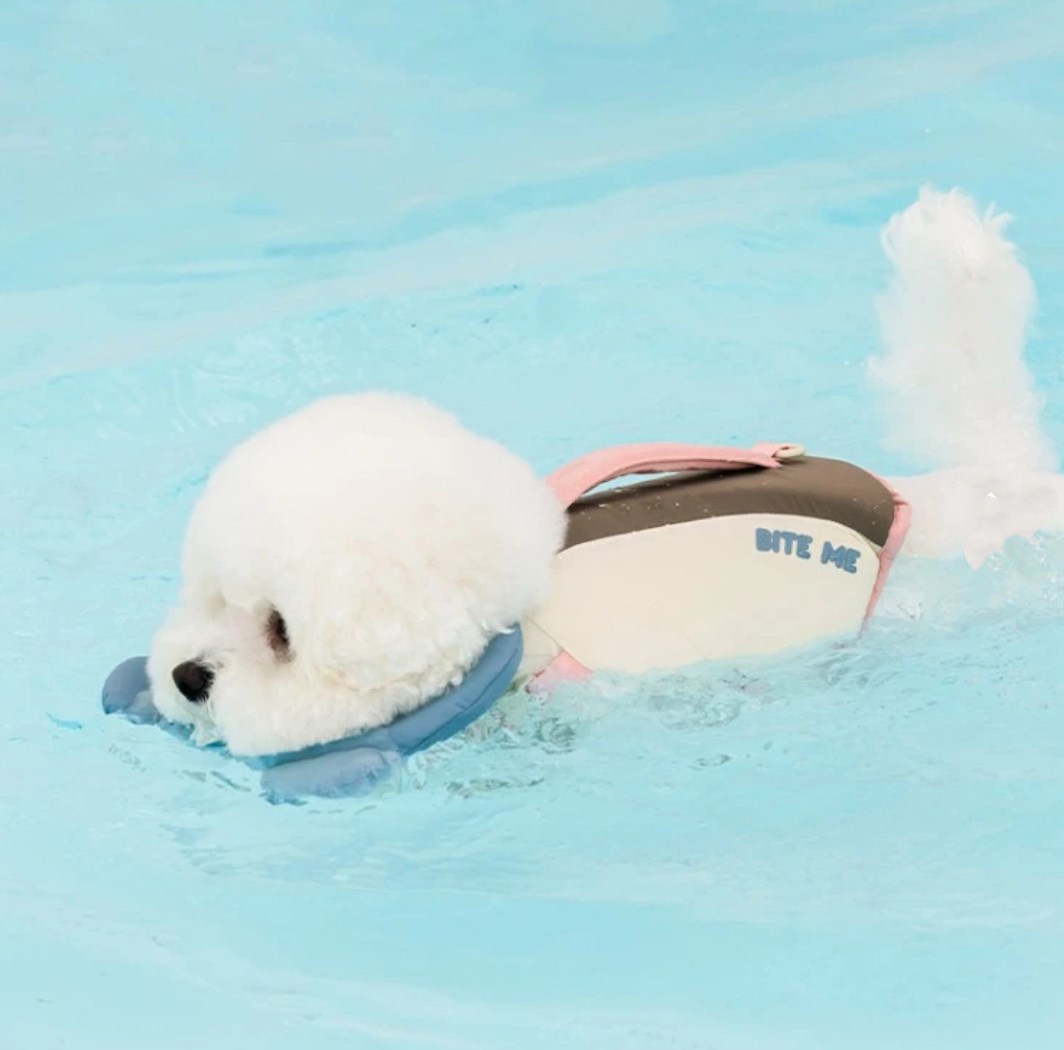 BITE ME 熊熊救生衣(藍色)