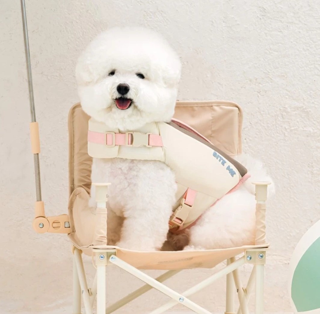 BITE ME 熊熊救生衣(藍色)