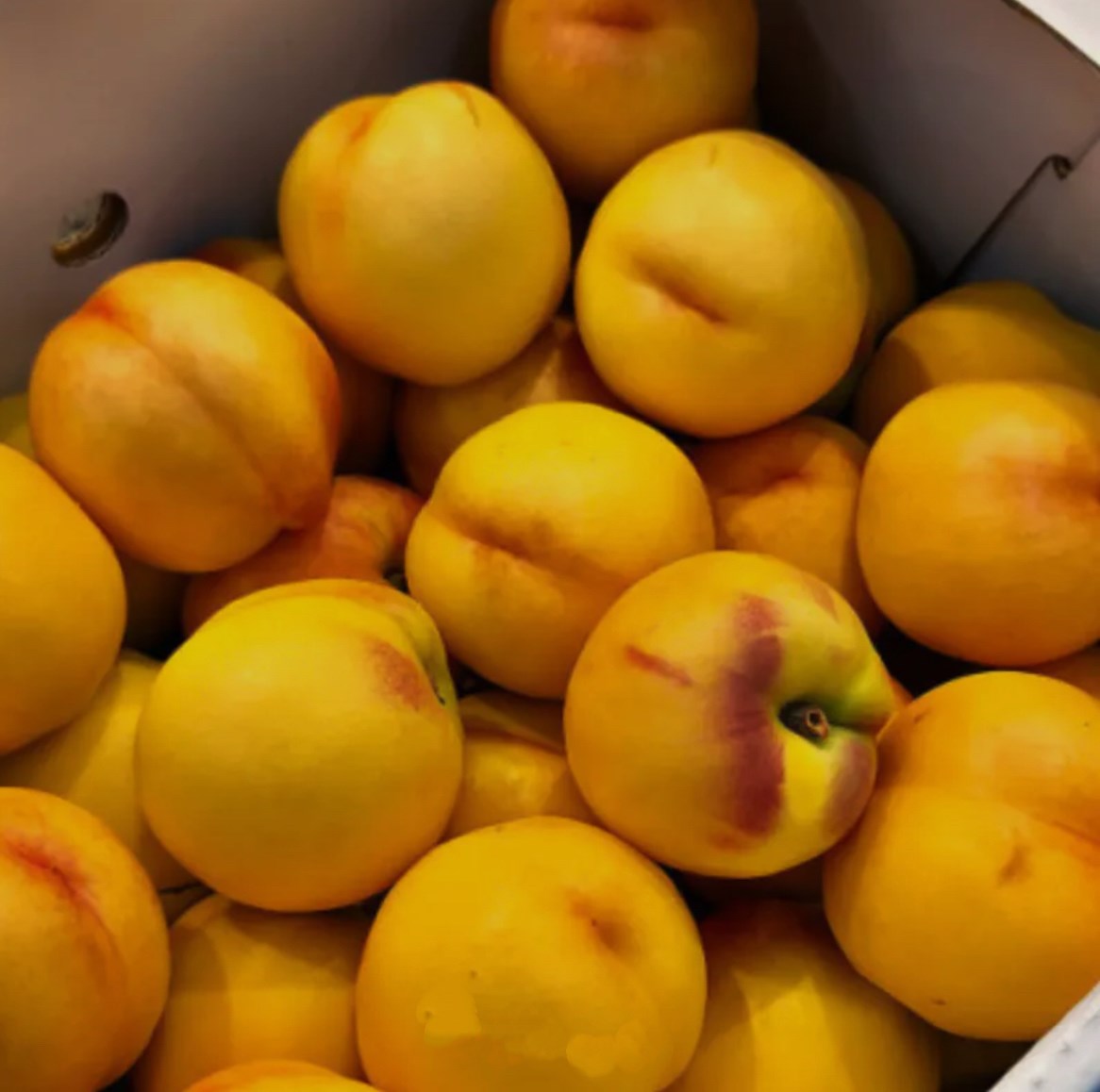 ✦水蜜桃&甘薯✦鮮果金磚凍乾酥《韓國 JeJu Kang》