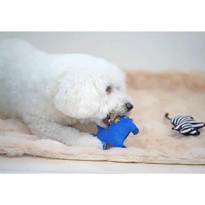 2026 馬年祈福啾啾玩具 （隨機出貨）