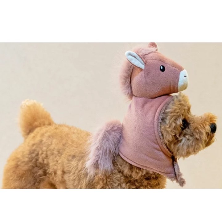 2026 馬年寵物造型帽