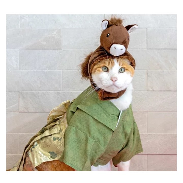 2026 馬年寵物造型帽