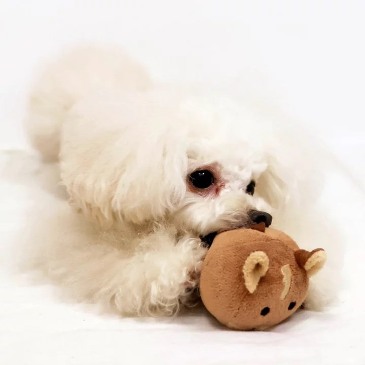 2026 馬年鈴鐺球玩具