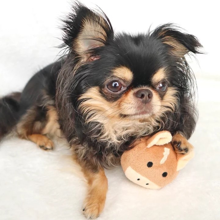 2026 馬年鈴鐺球玩具