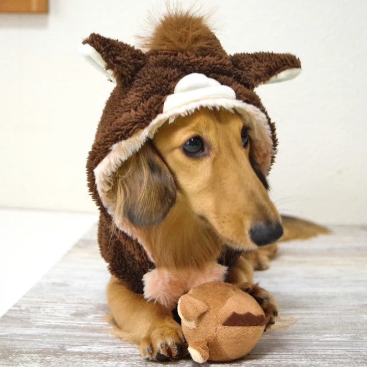 2026 馬年鈴鐺球玩具