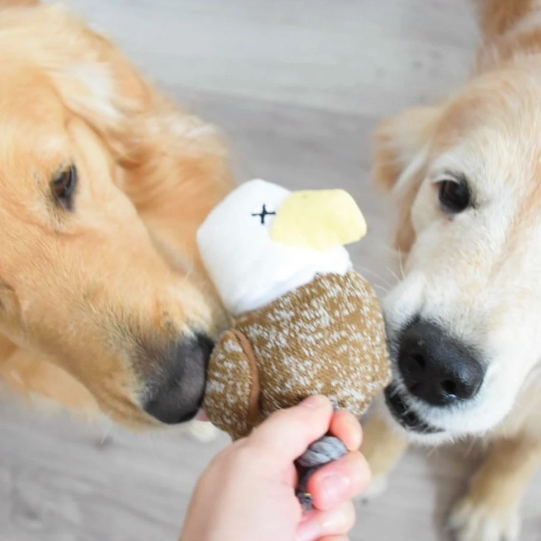 FAD 汪汪繩結老鷹