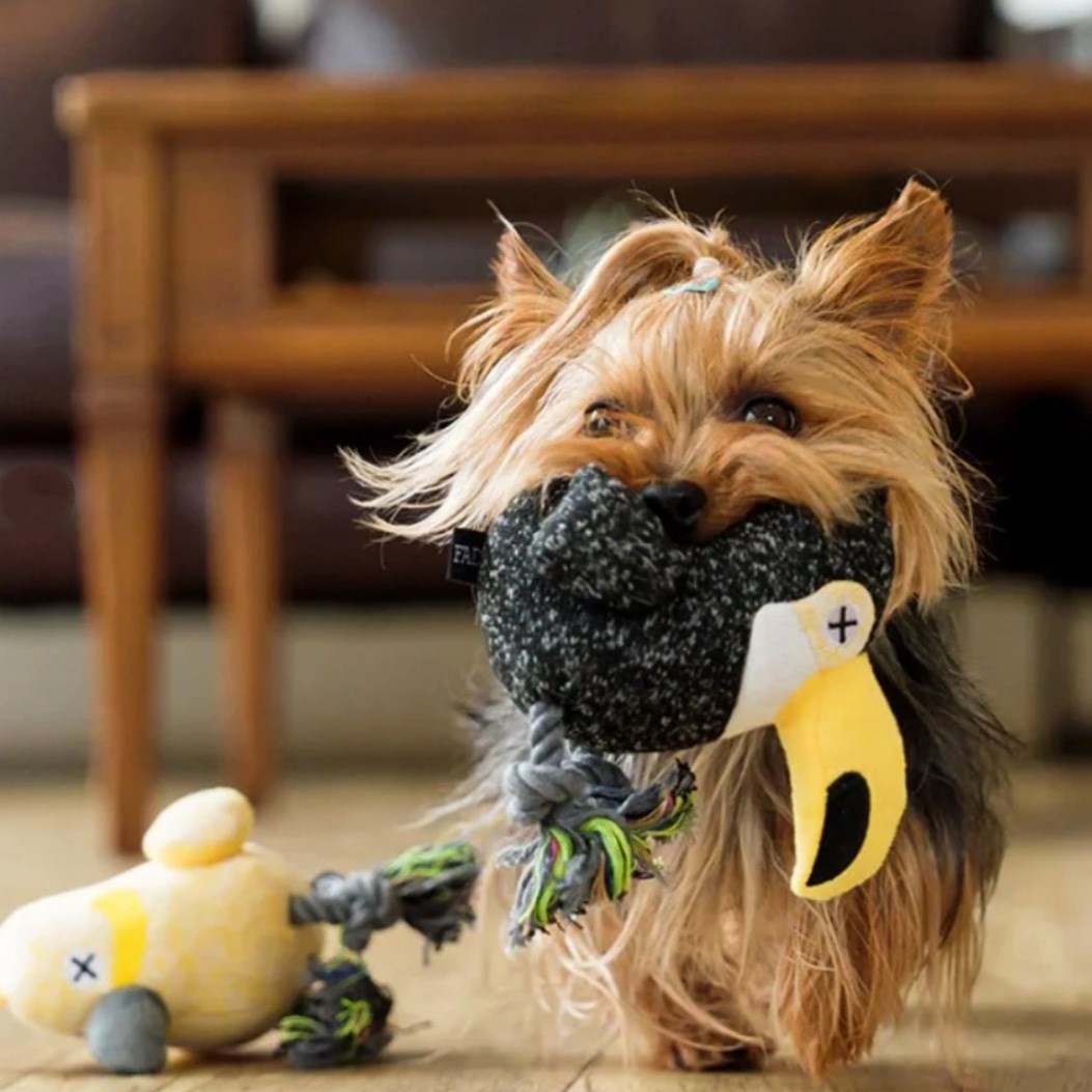 FAD 汪汪繩結大嘴鳥