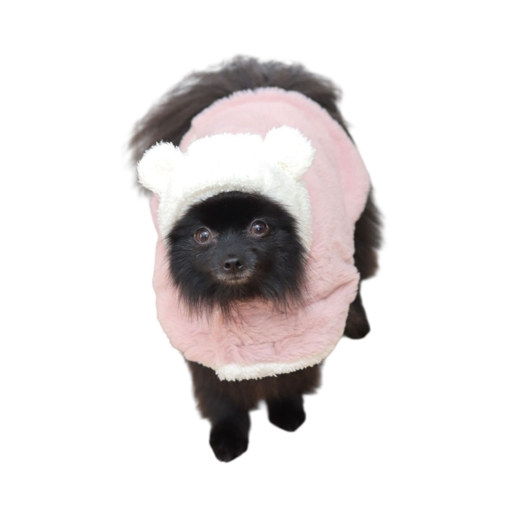 Fleur Little Bear 毛毯斗篷