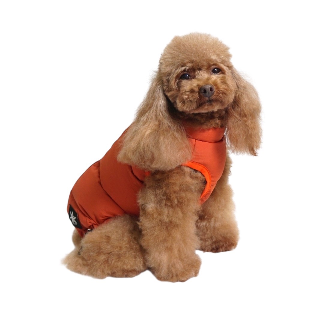 SHIELD COAT 輕量級防水防污羽絨衣