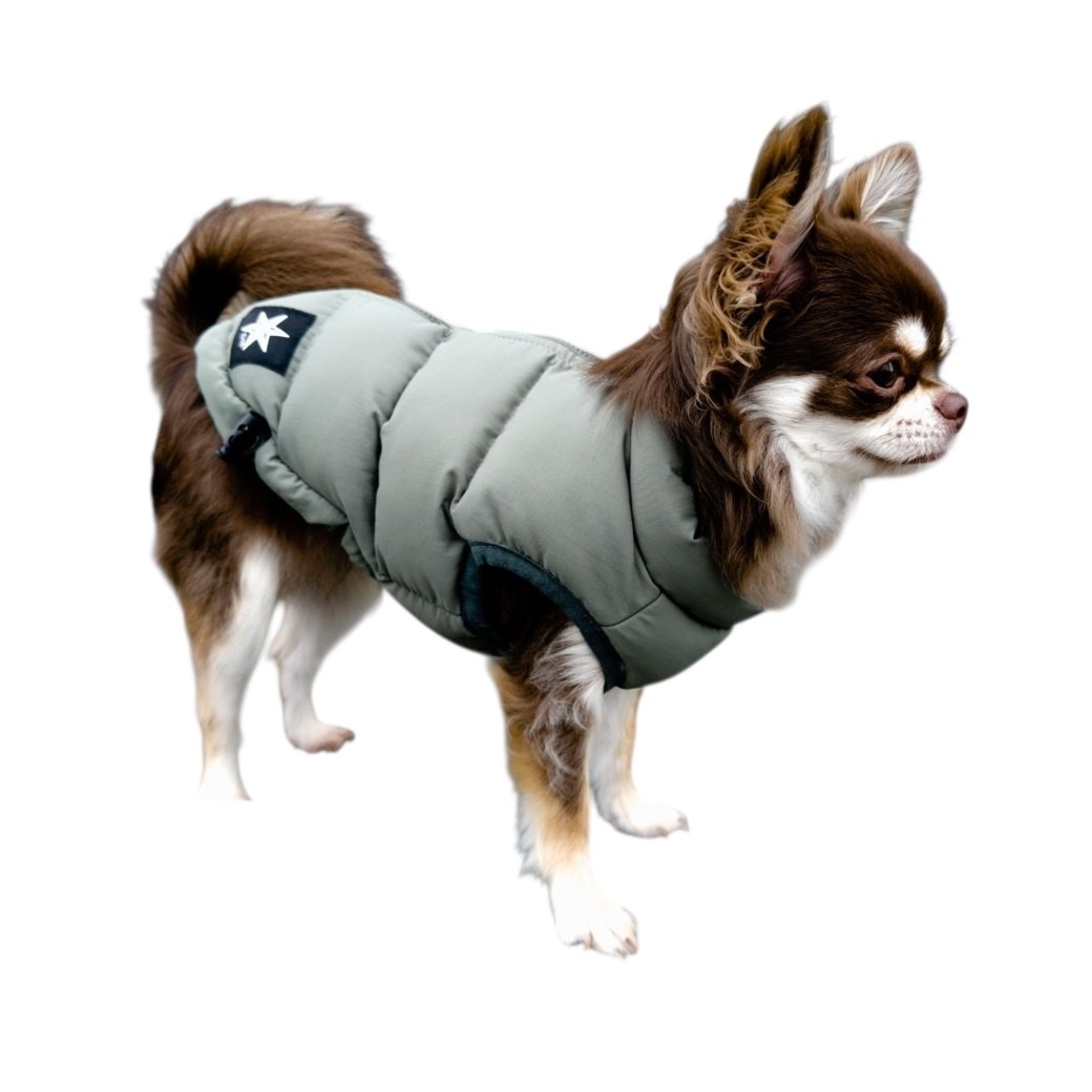 SHIELD COAT 輕量級防水防污羽絨衣