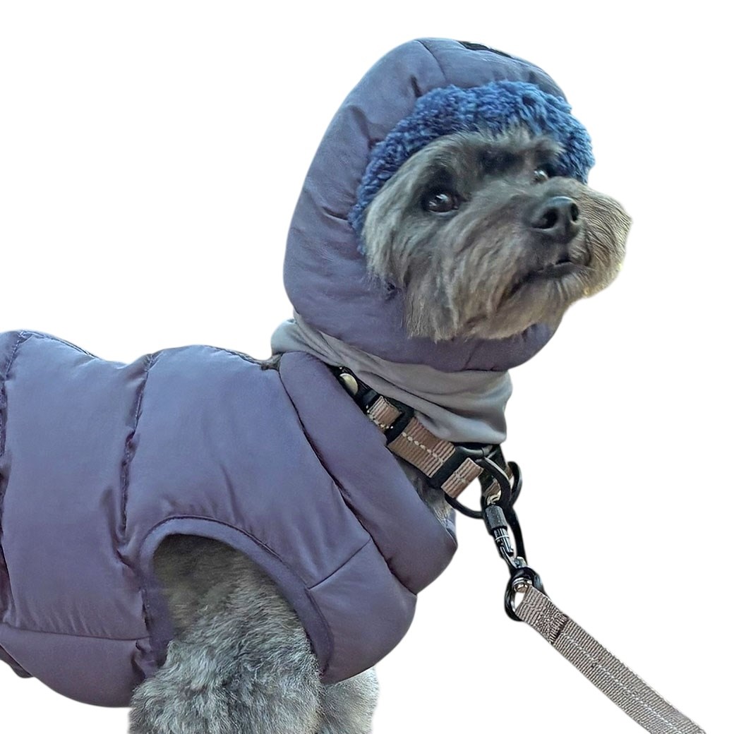 SHIELD COAT 輕量級防水防污羽絨帽