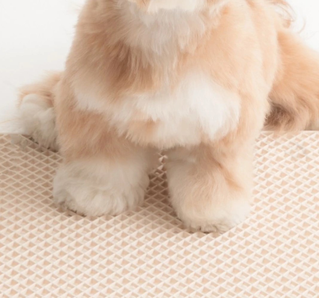 BITE ME 腳不濕尿尿墊