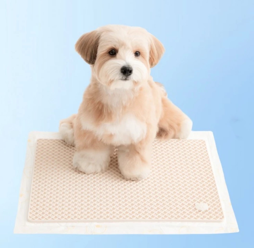 BITE ME 腳不濕尿尿墊