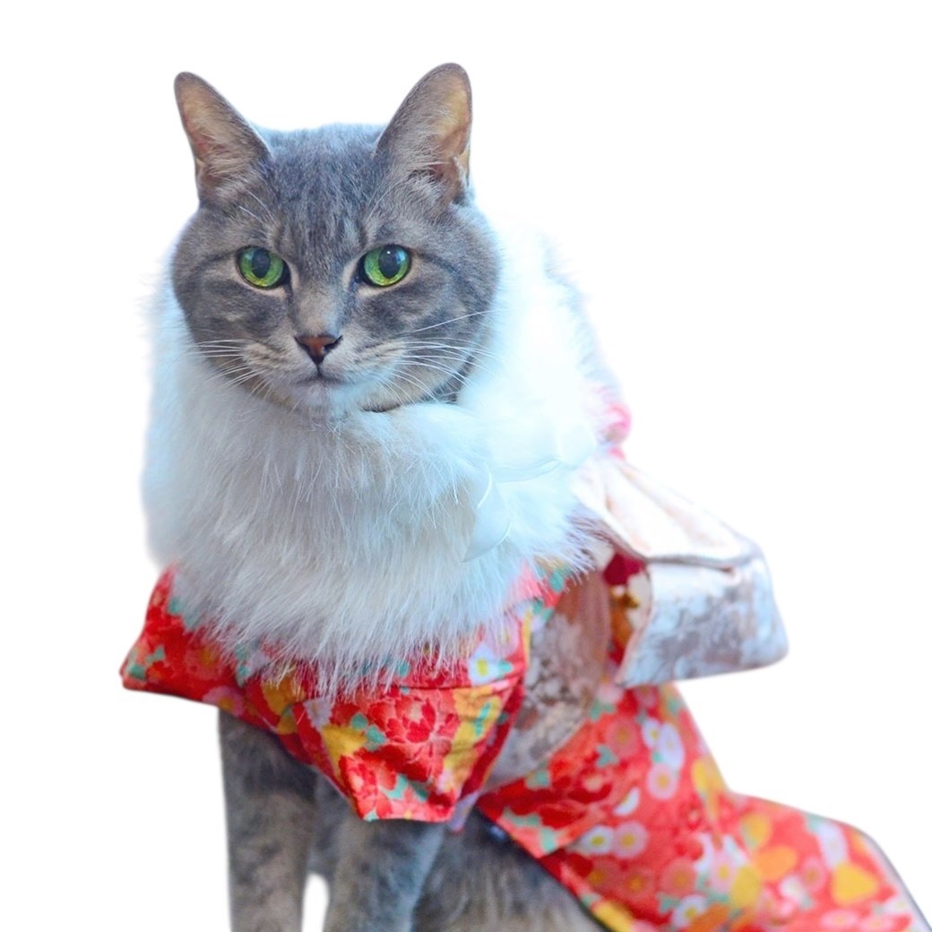 白富美蓬鬆皮草披肩