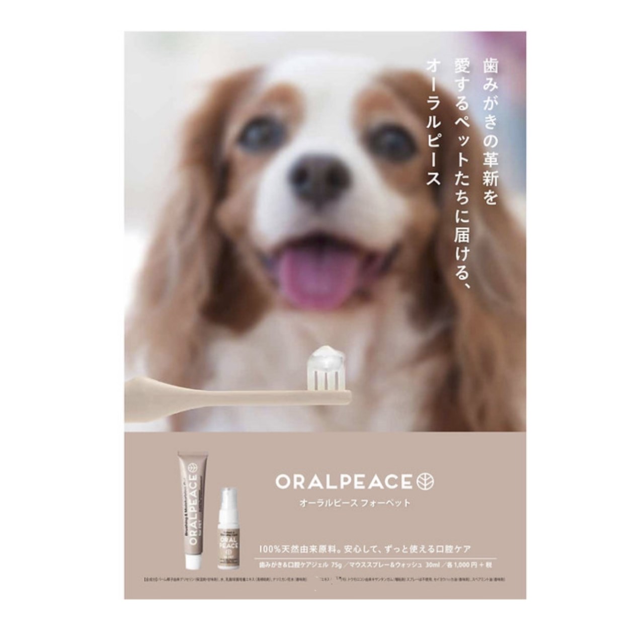 ORAL PEACE FOR PET 日本乳酸菌肽牙膏