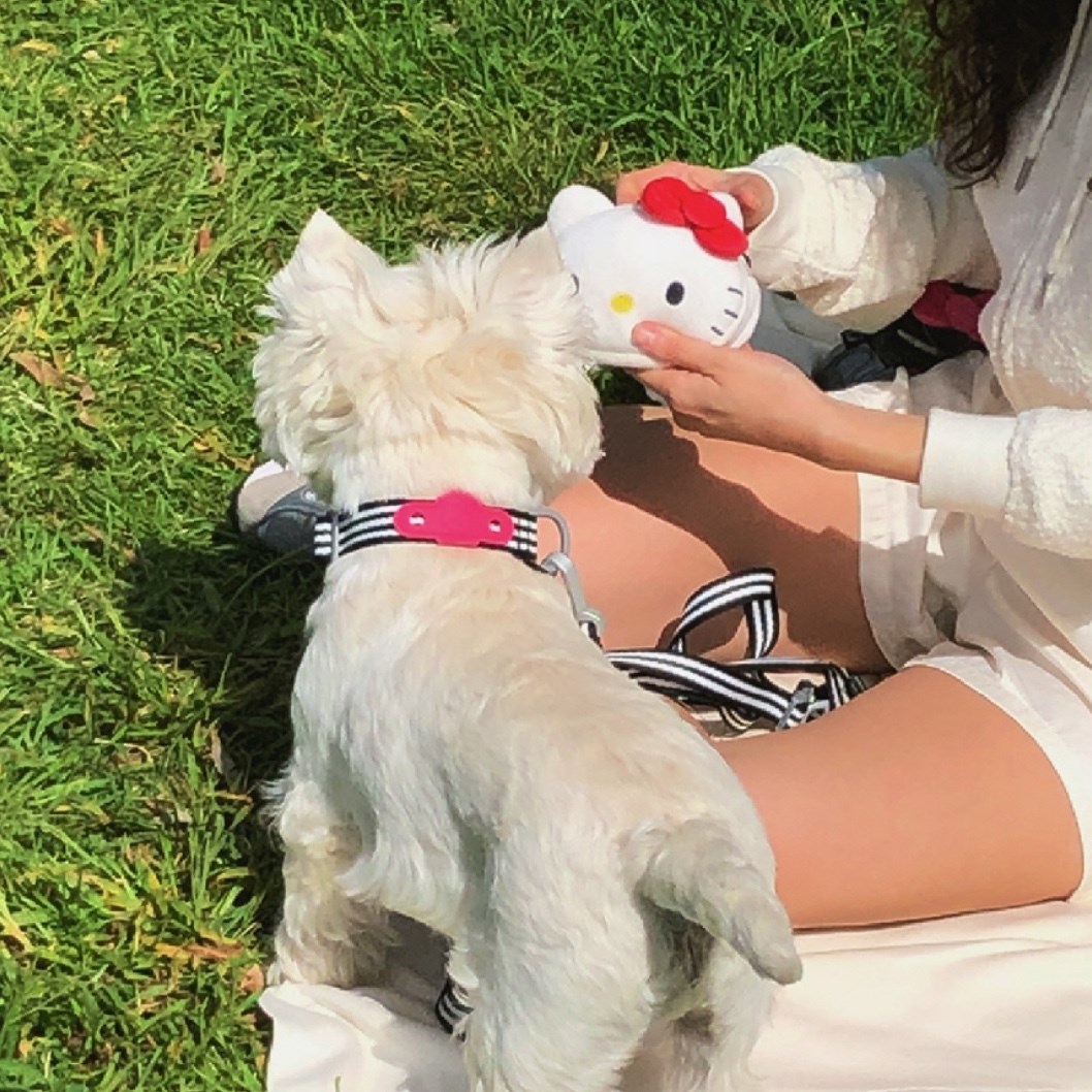 HELLO KITTY x ARUMARU POOP BAG KEY RING | 凱蒂貓吊飾拾便袋  白