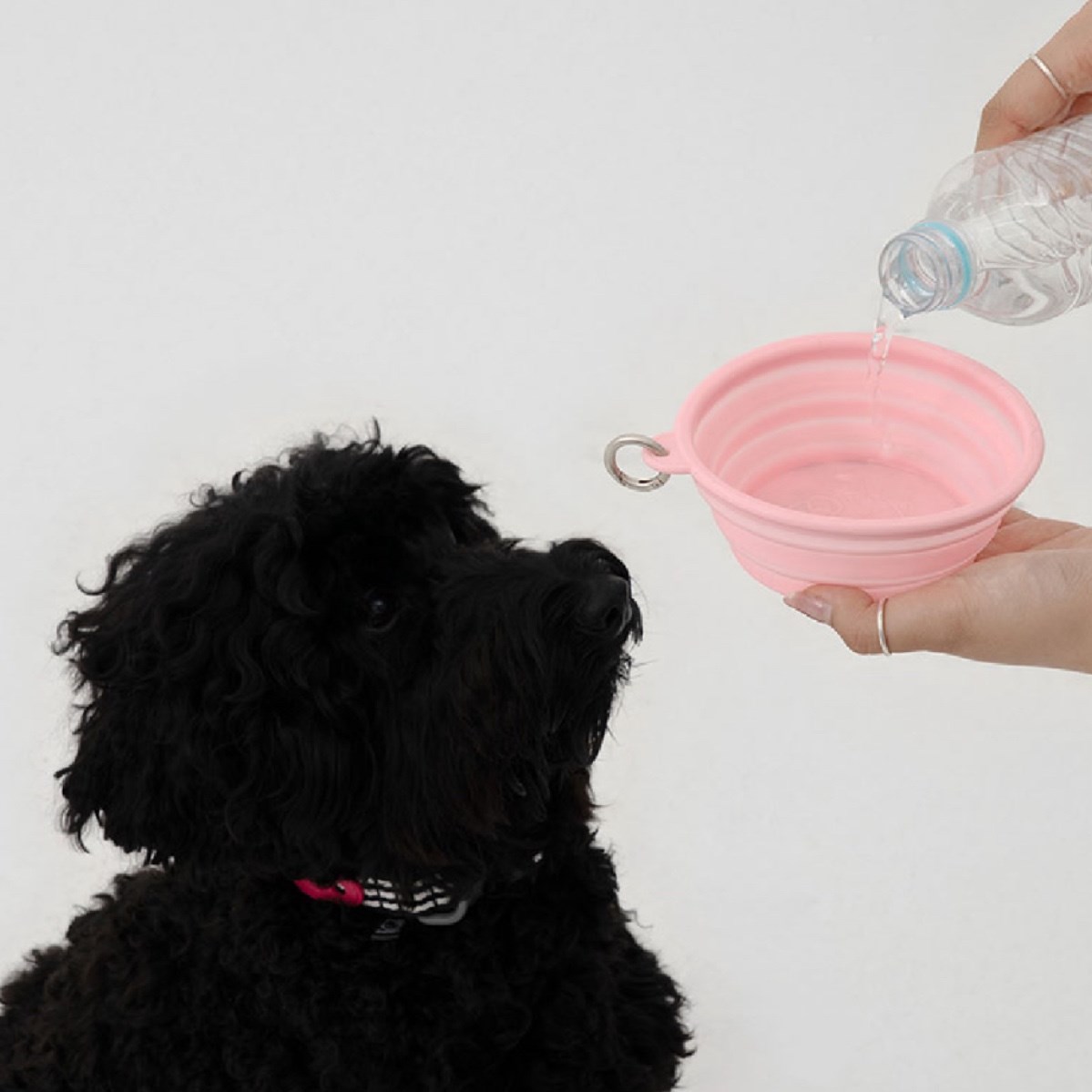 HELLO KITTY X ARUMARU FOLDING BOWL) 凱蒂貓外出摺疊碗