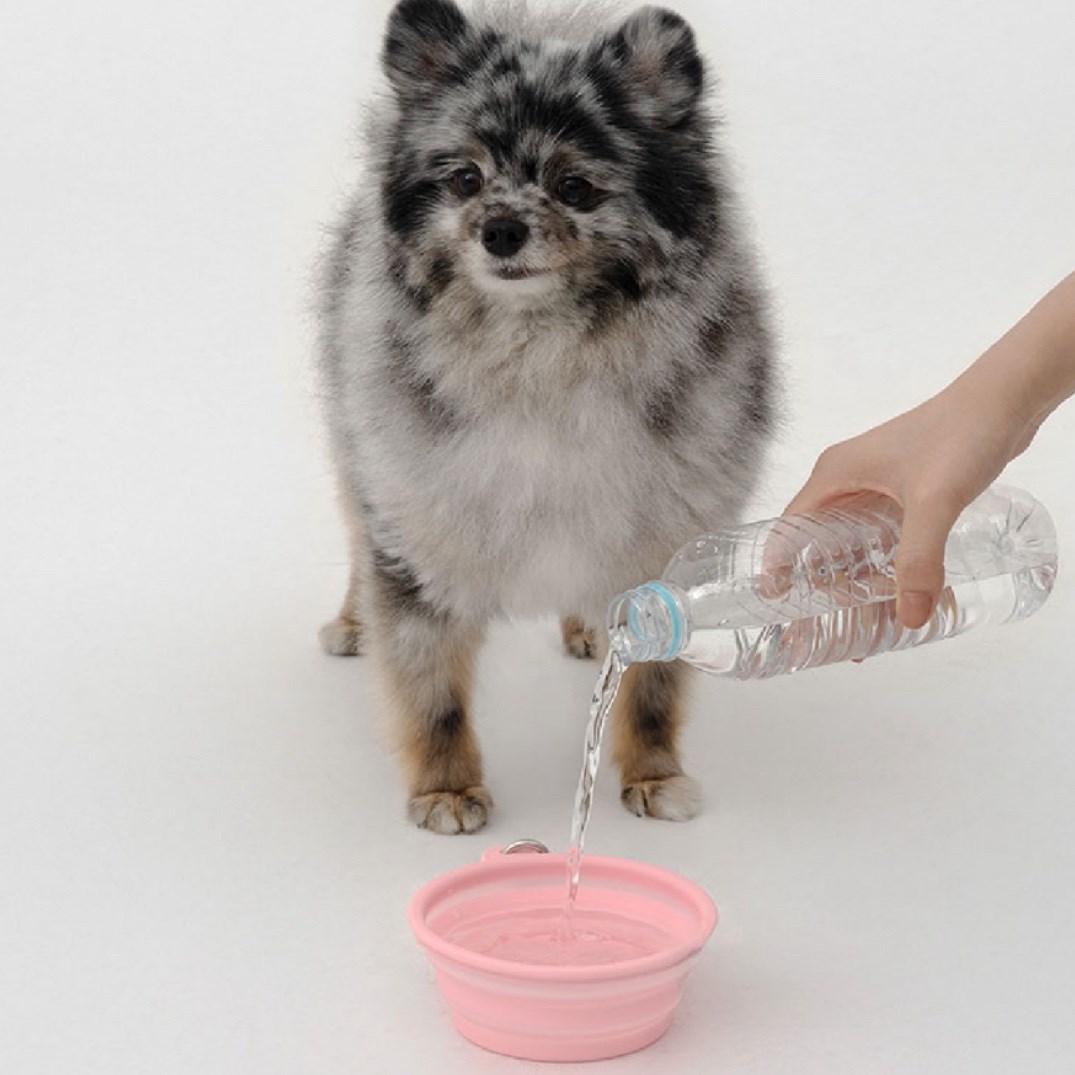 HELLO KITTY X ARUMARU FOLDING BOWL) 凱蒂貓外出摺疊碗