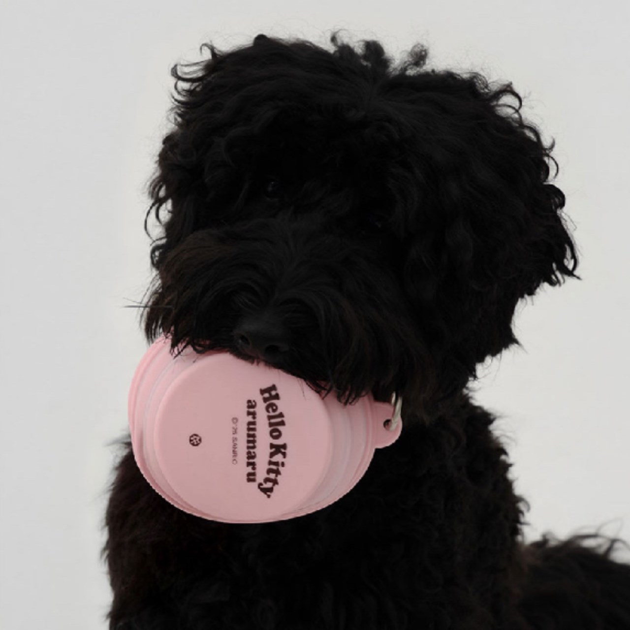 HELLO KITTY X ARUMARU FOLDING BOWL) 凱蒂貓外出摺疊碗