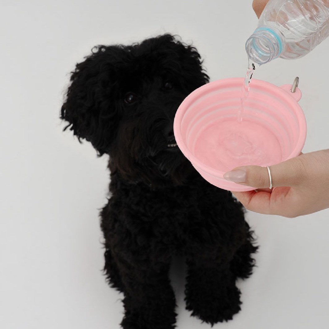 HELLO KITTY X ARUMARU FOLDING BOWL) 凱蒂貓外出摺疊碗