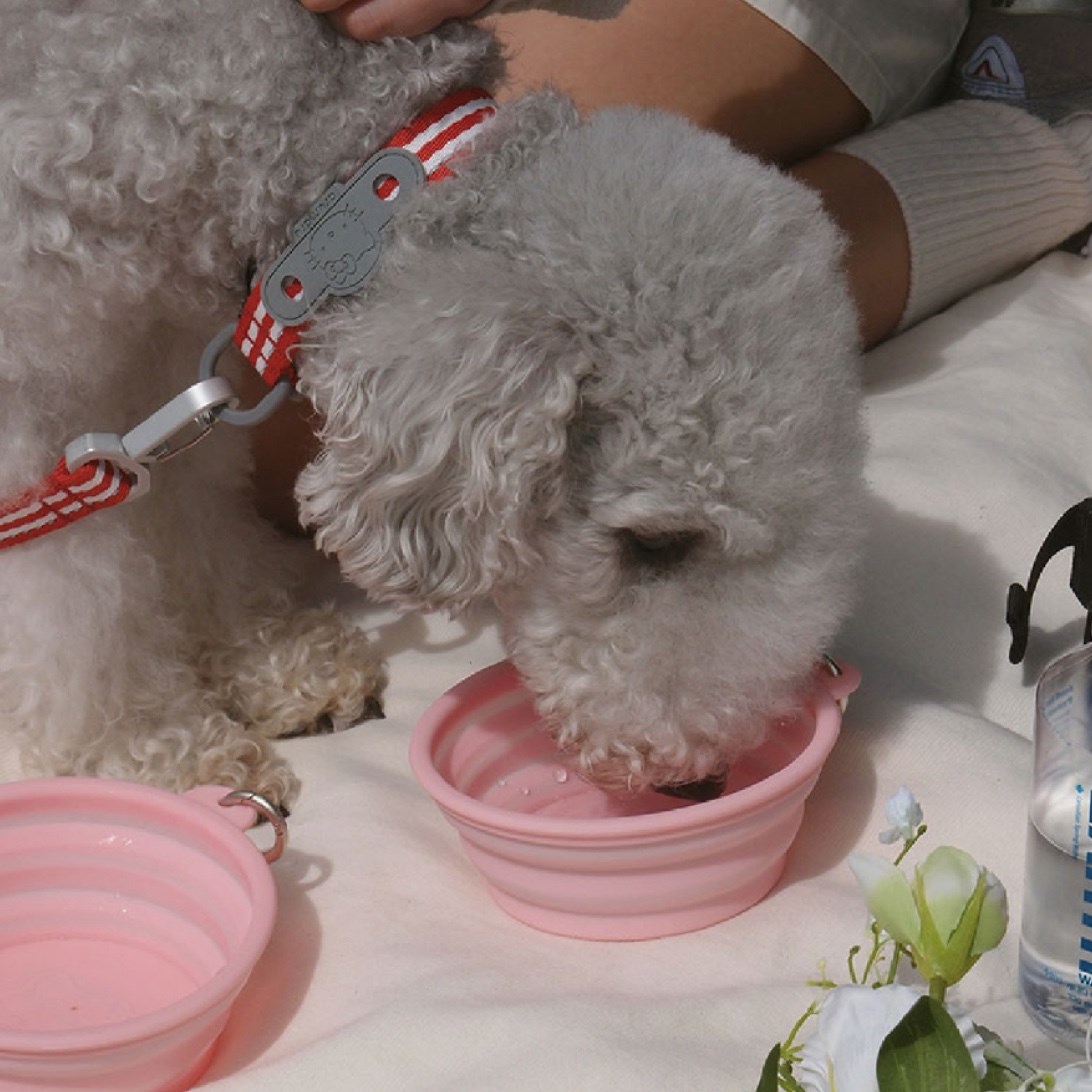 HELLO KITTY X ARUMARU FOLDING BOWL) 凱蒂貓外出摺疊碗