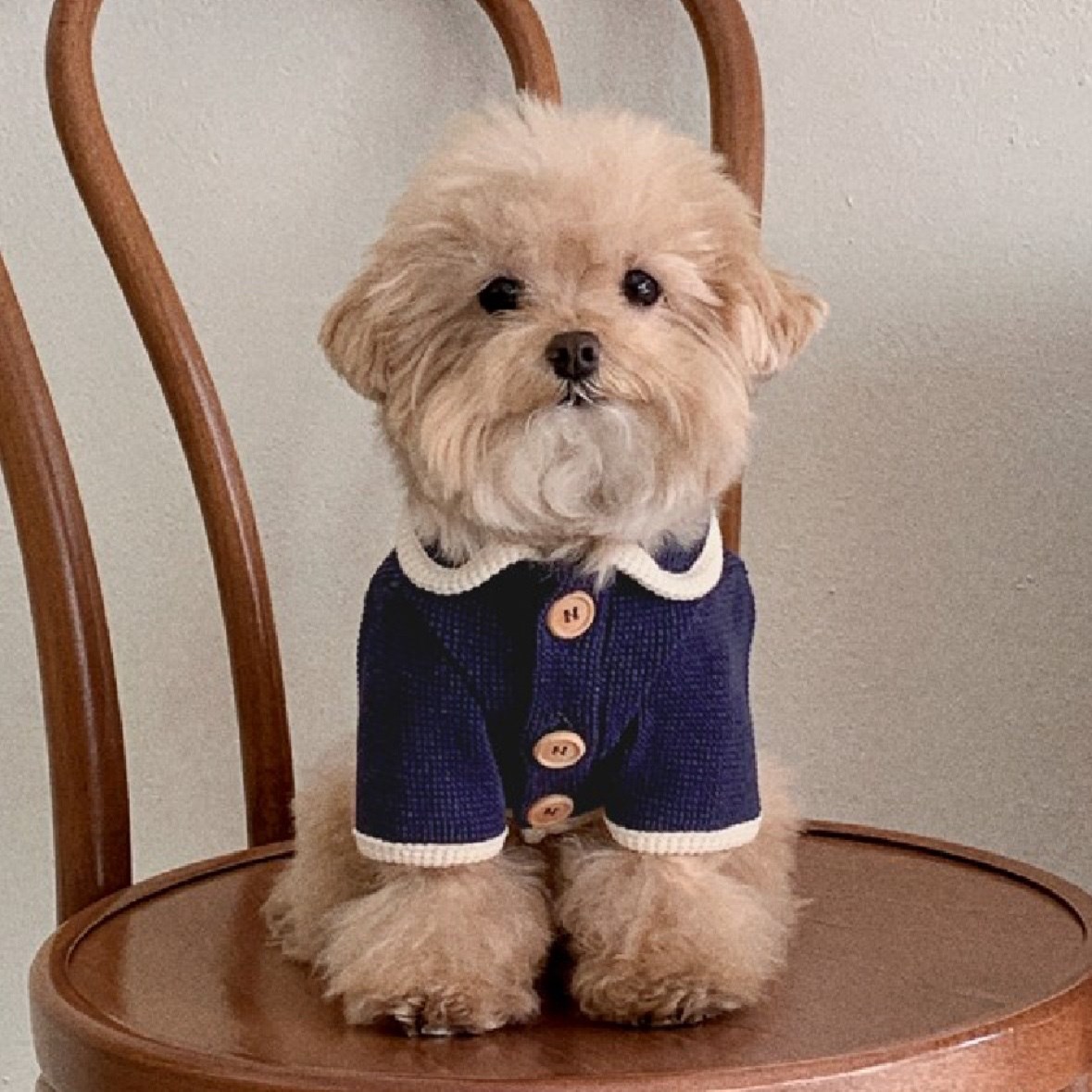 Waffle Cardigan Top ｜華夫格紋開襟上衣 深藍