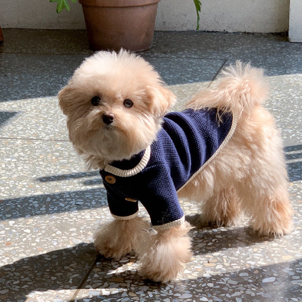 Waffle Cardigan Top ｜華夫格紋開襟上衣 深藍