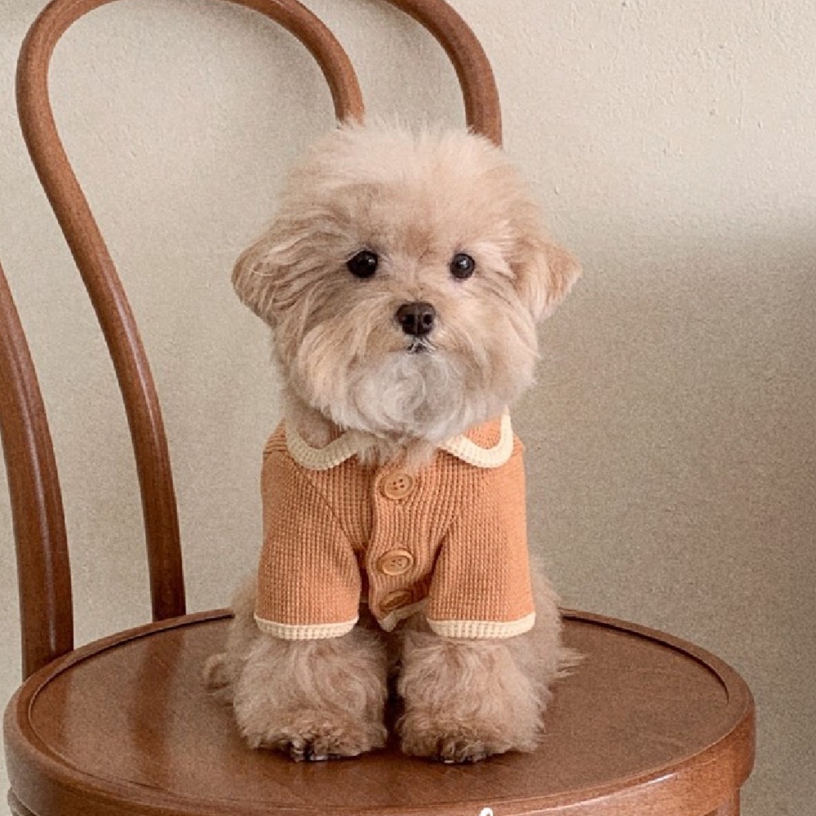 Waffle Cardigan Top ｜華夫格紋開襟上衣 莓粉