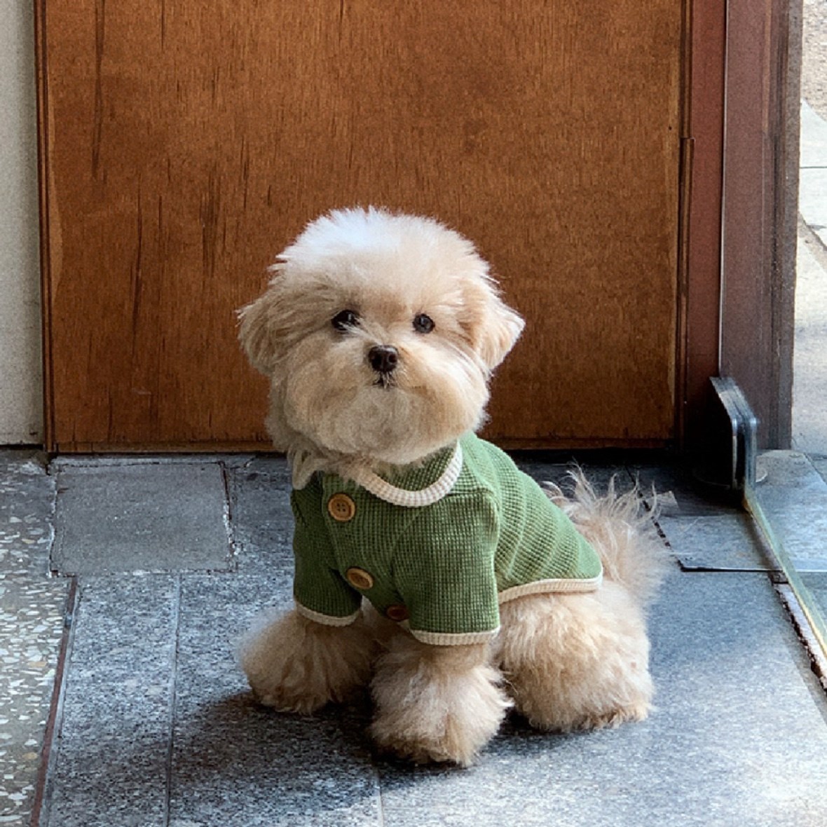 Waffle Cardigan Top ｜華夫格紋開襟上衣 綠