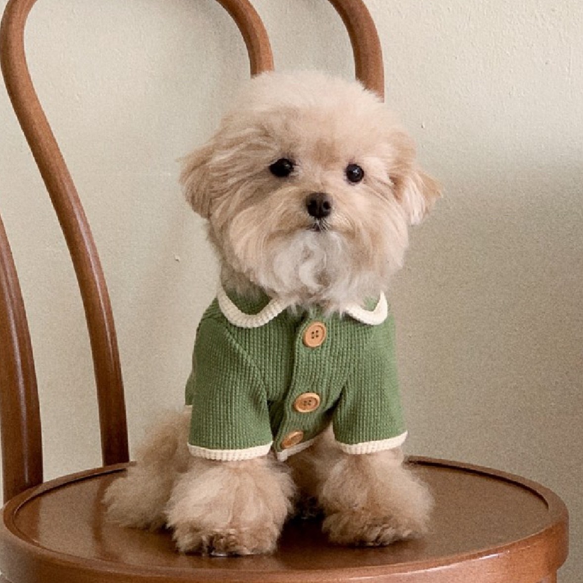 Waffle Cardigan Top ｜華夫格紋開襟上衣 綠