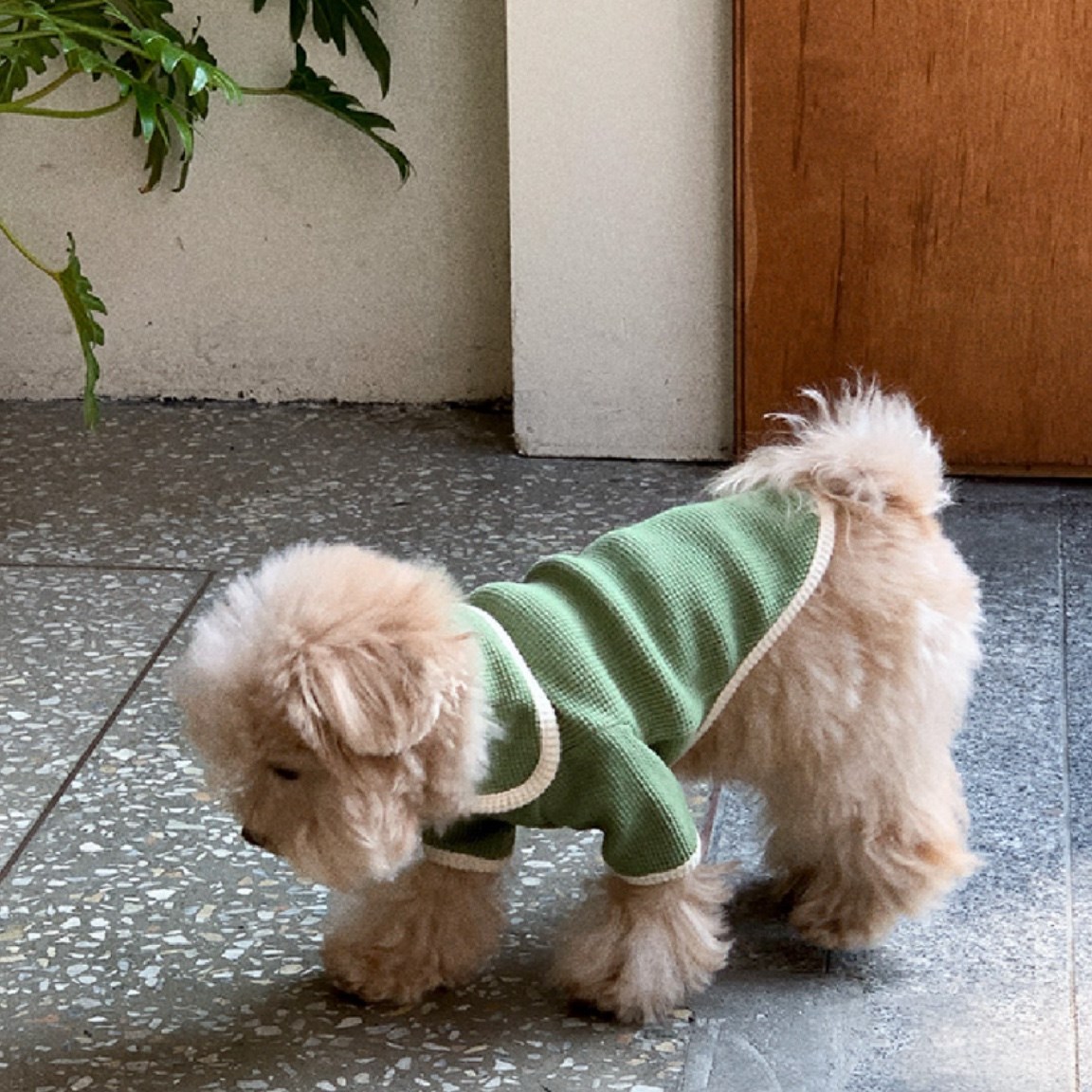 Waffle Cardigan Top ｜華夫格紋開襟上衣 綠