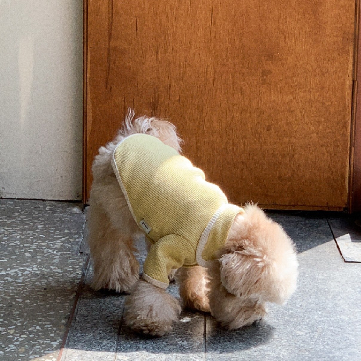 Waffle Cardigan Top ｜華夫格紋開襟上衣 黃