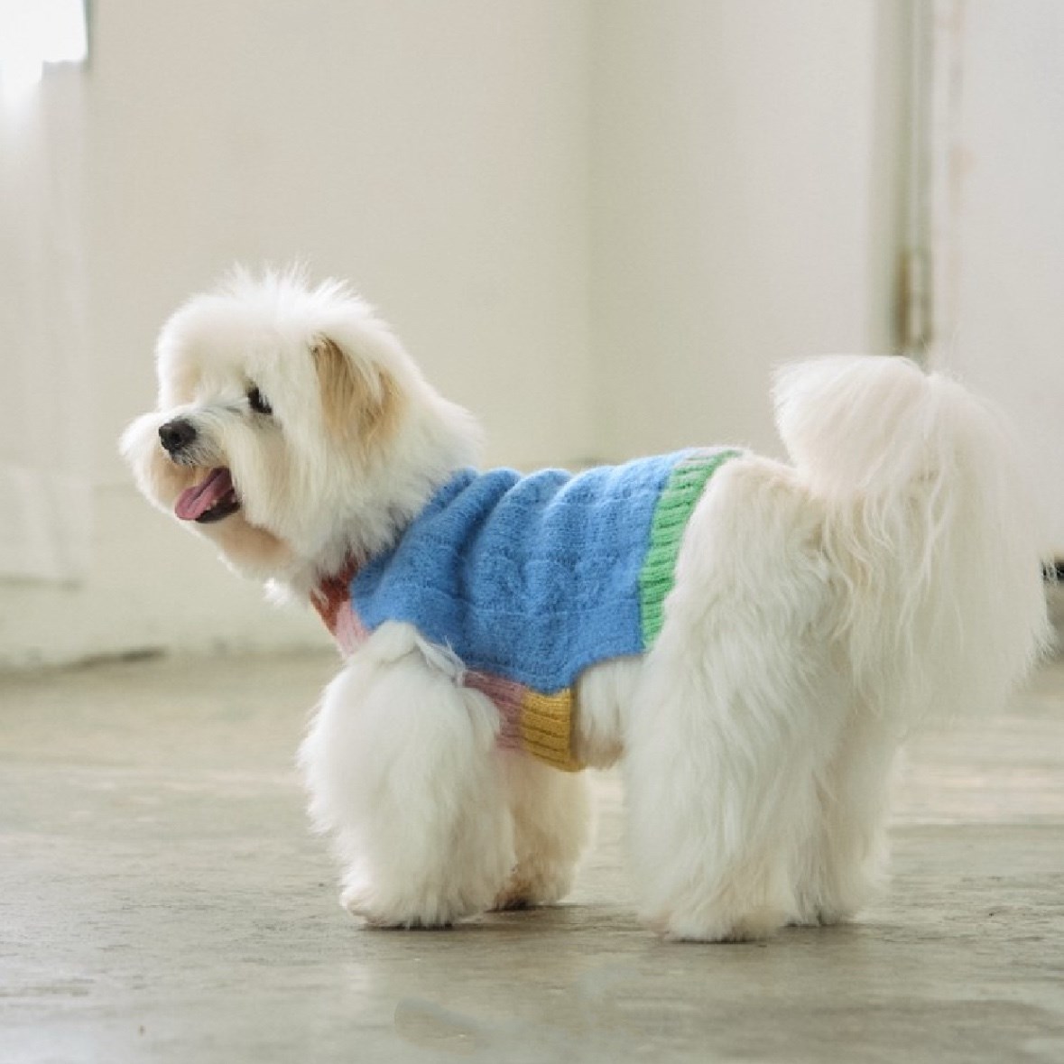 編織麻花100%羊毛上衣 藍