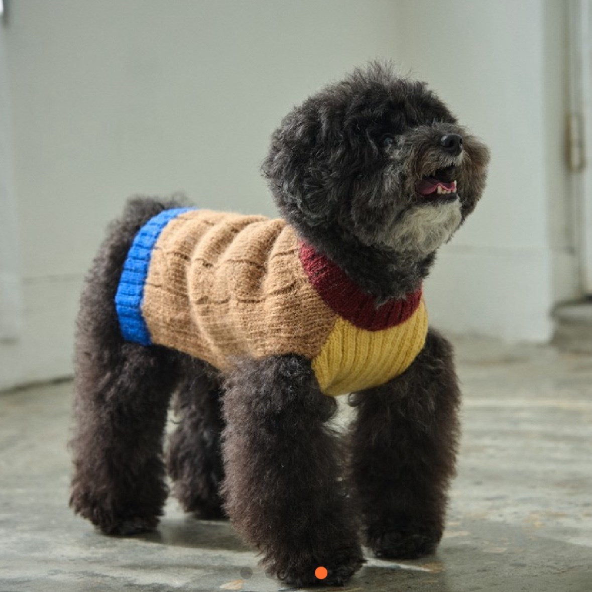 編織麻花100%羊毛上衣 咖啡