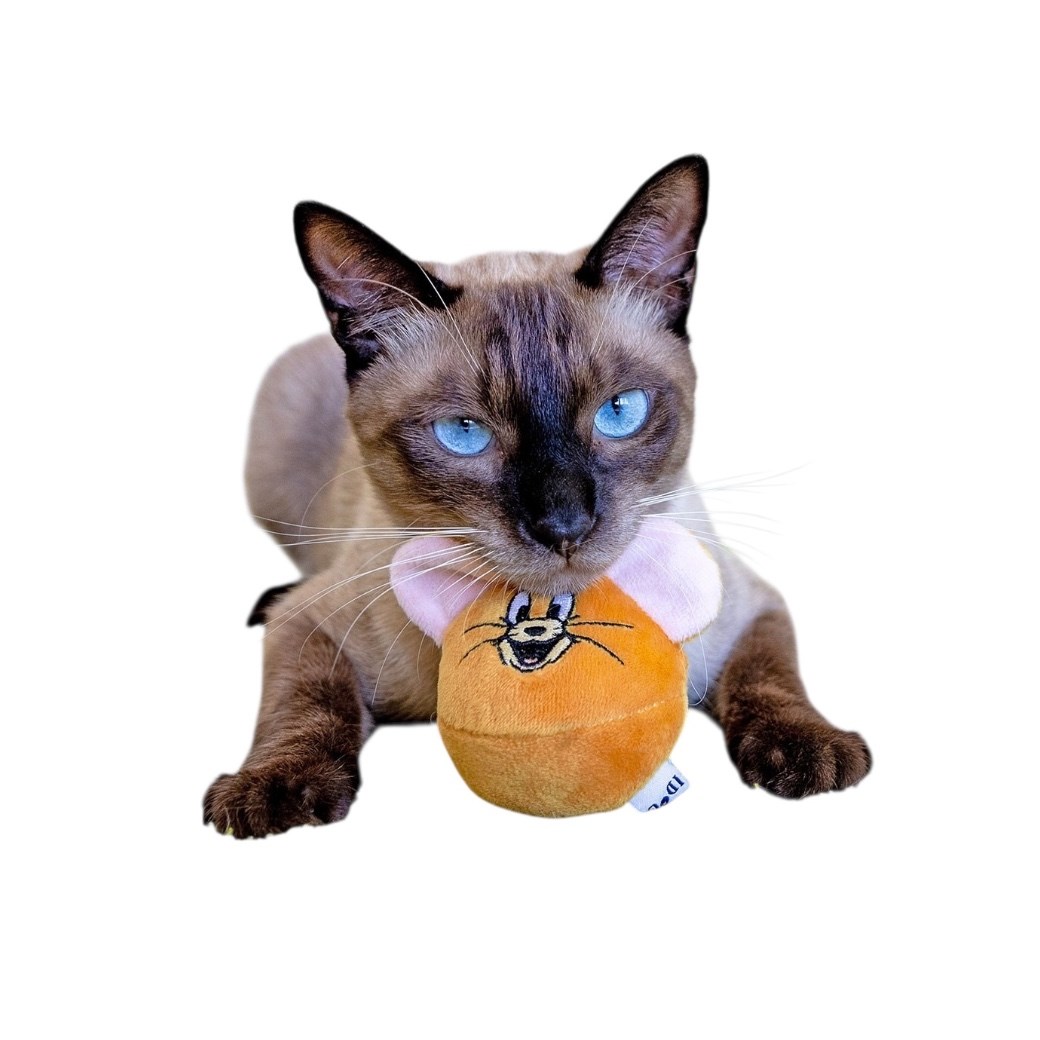 TOM and JERRY 鈴鐺球玩具