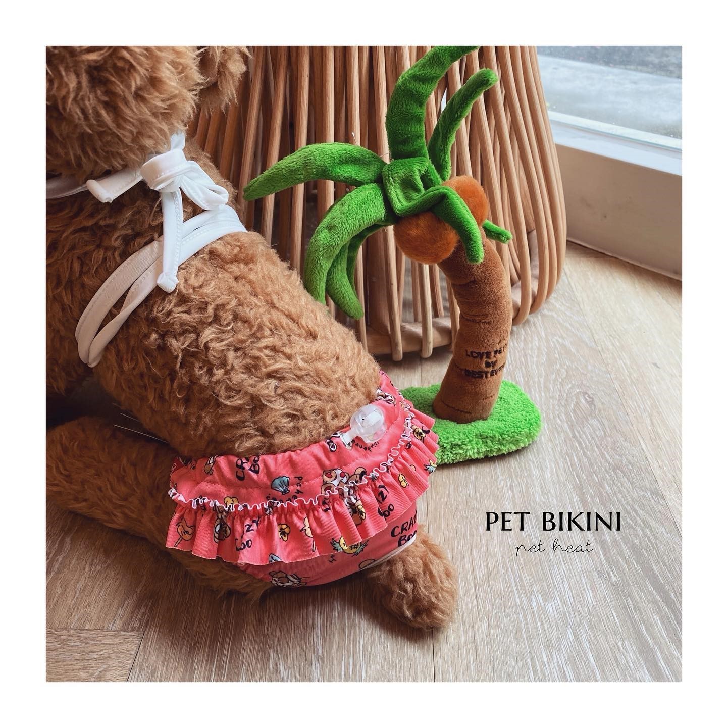 pet bikini寵物比基尼