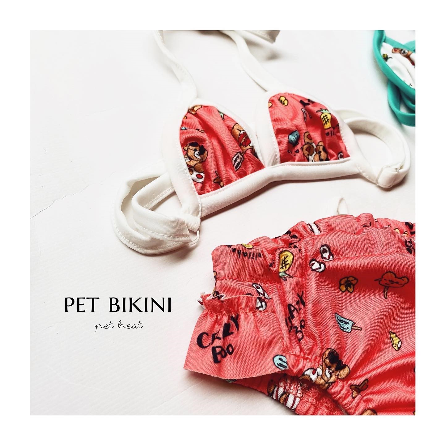 pet bikini寵物比基尼