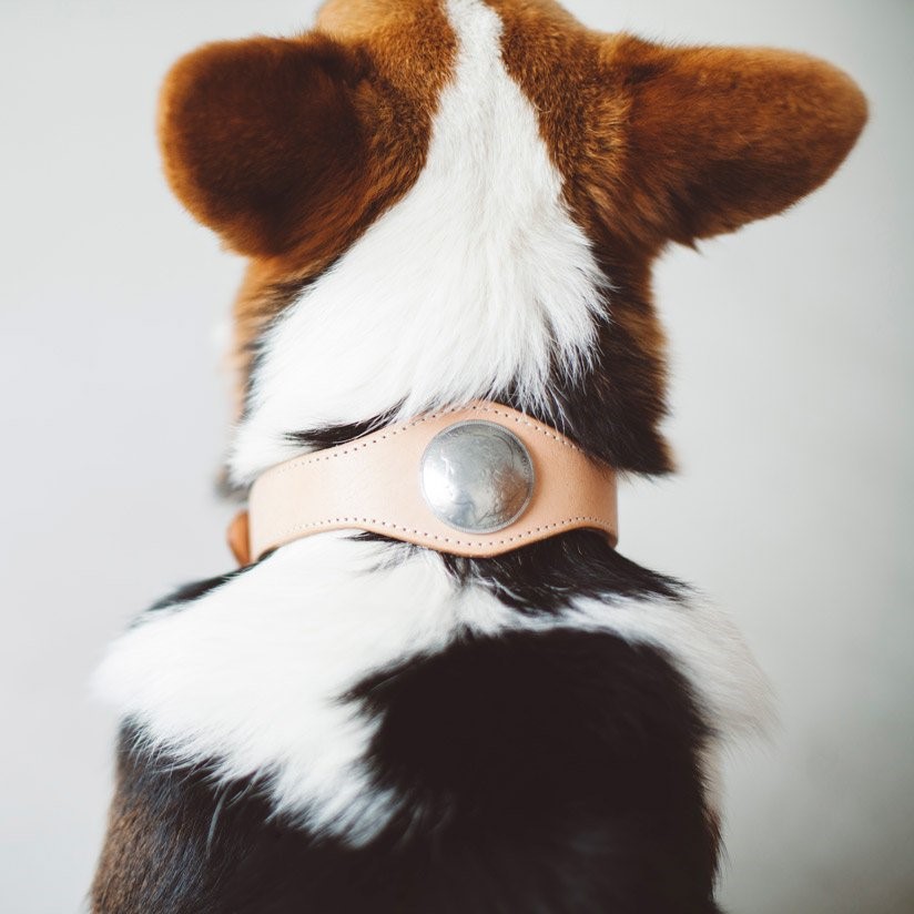 free stitch / Nume Concho 真皮盾牌項圈