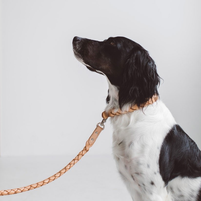 free stitch / Nume Woven Color 編織真皮項圈